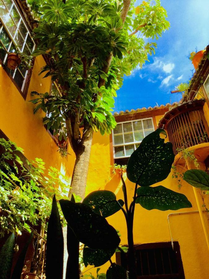 Casa Alves, Ultimo Tercio S. XVI Appartement Santa Cruz de la Palma  Buitenkant foto